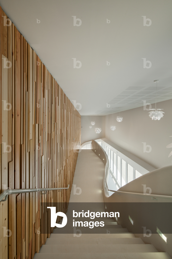 Gymnase Atlantis Sport, Massy, Frankreich, 2014 (Foto)