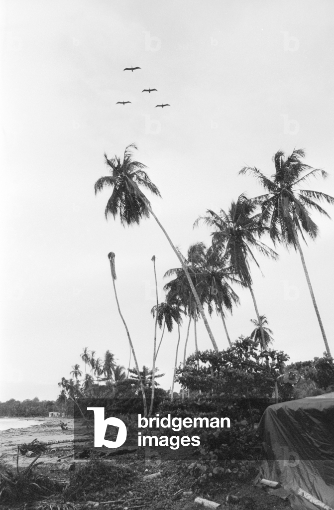 Puerto Viejo, 1991 (foto)