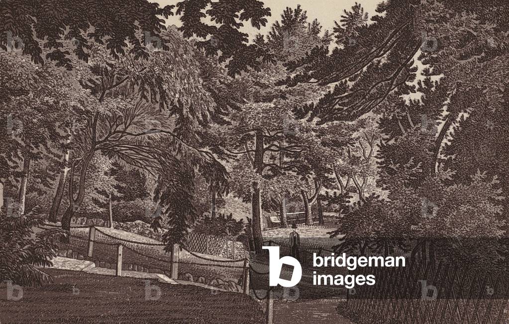 Image of Print depicting Southend-on-Sea: Interior of the Shrubbery (litho) by English Artist