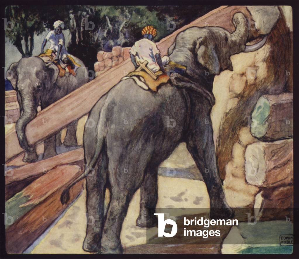 Elefanten Pfahl Teak (Farbe litho)