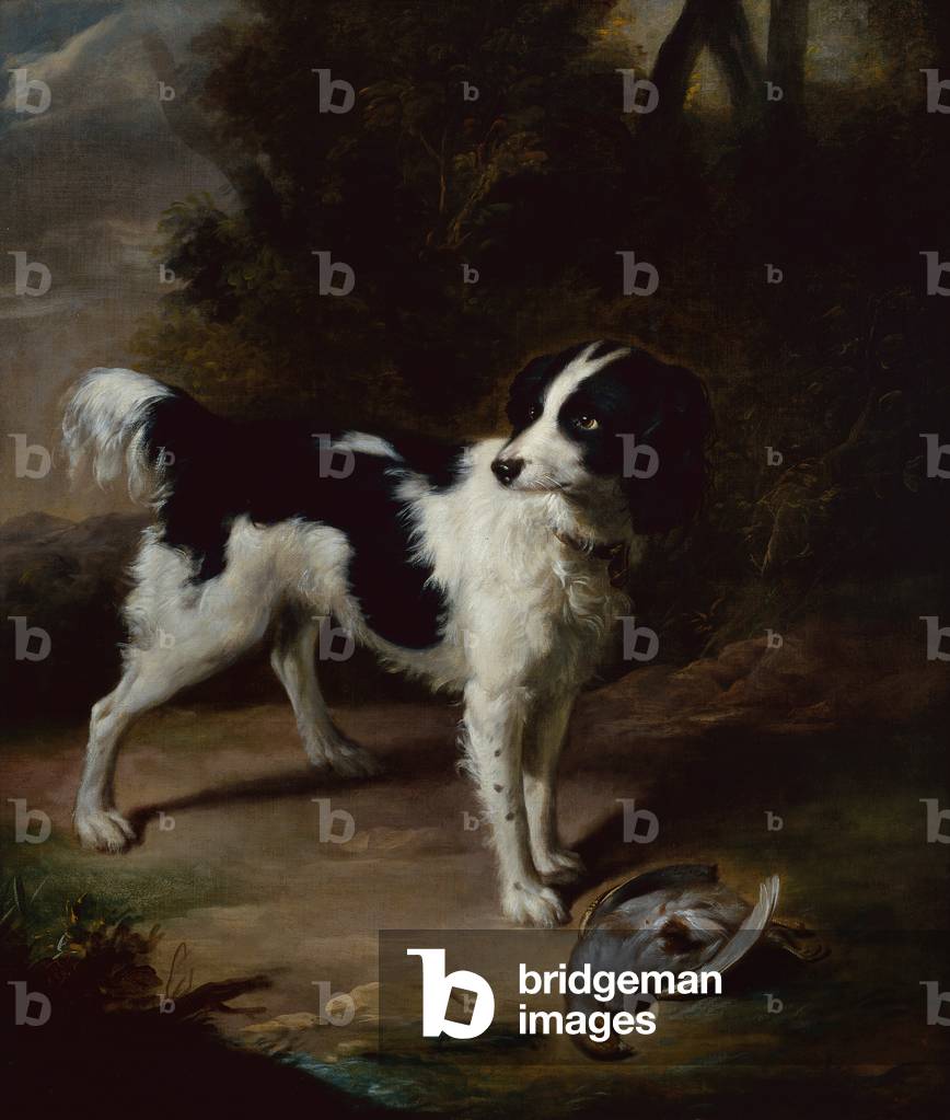 Bild von Gemälde "Ein Schwarz-Weiß-Springspaniel mit einem toten Rebhuhn in einer Landschaft (Öl)" 1701 von Jo