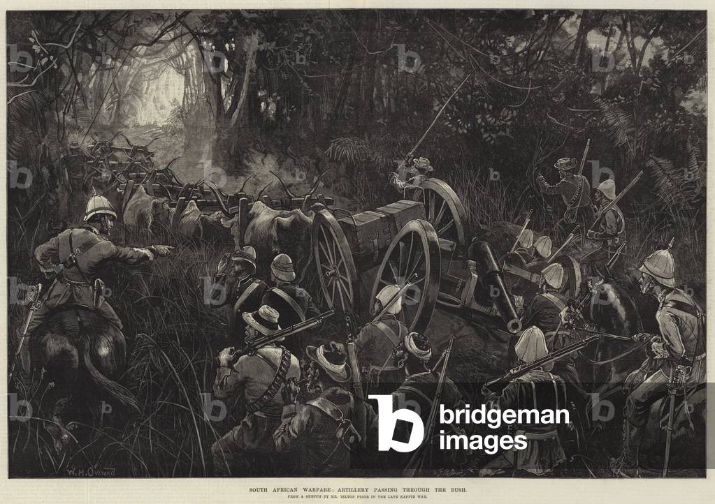 Guerra sudafricana, Artiglieria che passa attraverso il cespuglio (incisione)