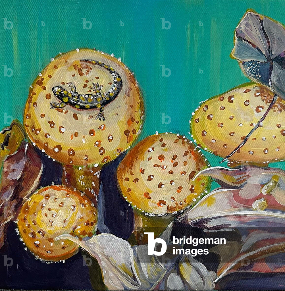 Forest Floor, 2023 (acrylic on canvas)