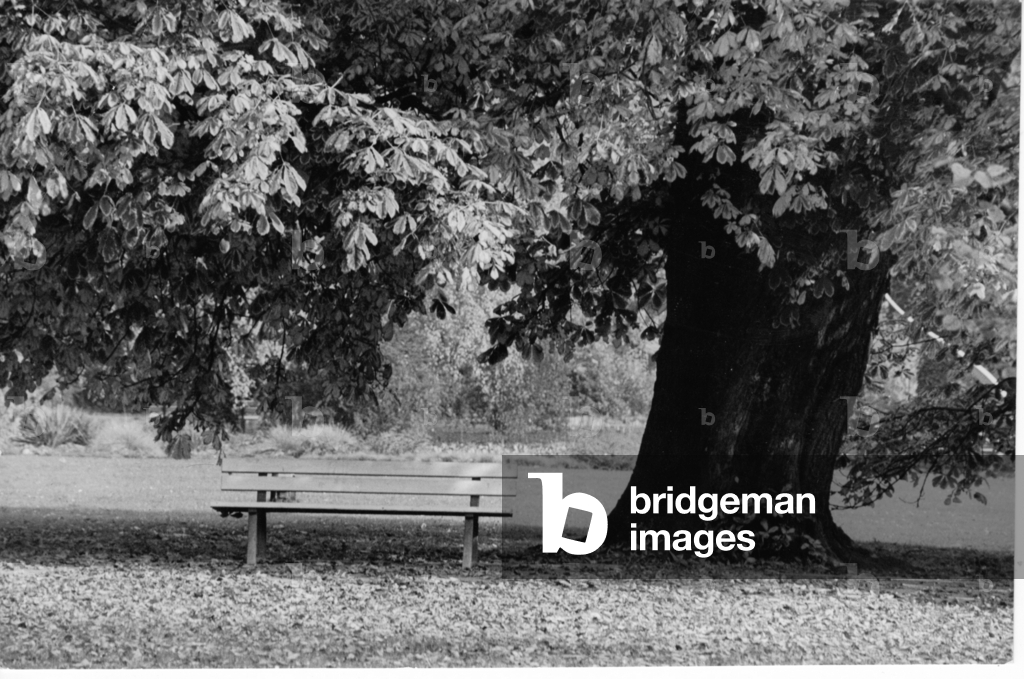 Image de Photographie représentant L'île de l'amitié à Potsdam 1990 par Michael Hübner