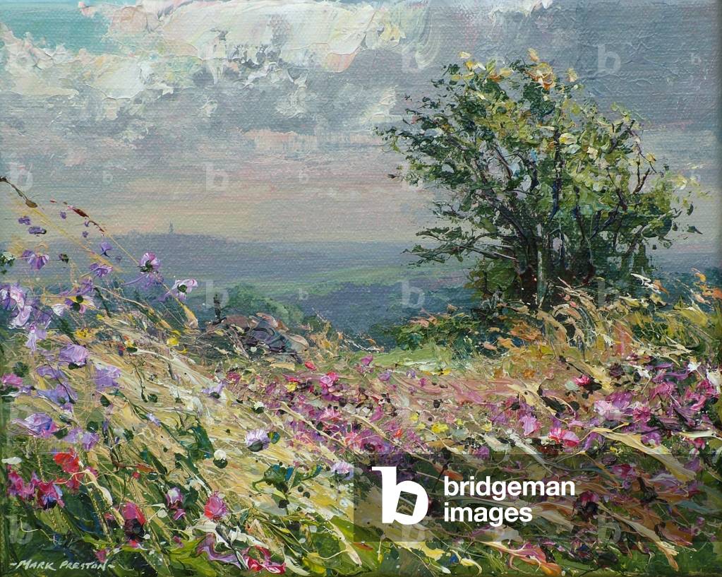 Prato illuminato dal sole e nuvole fitte, Ible, 2017 (acrilico su tela)