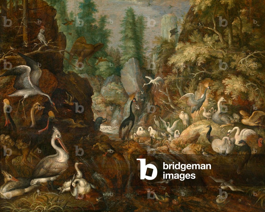 Image of Painting depicting Bird's Paradise 1616 by Roelandt Jacobsz. Savery