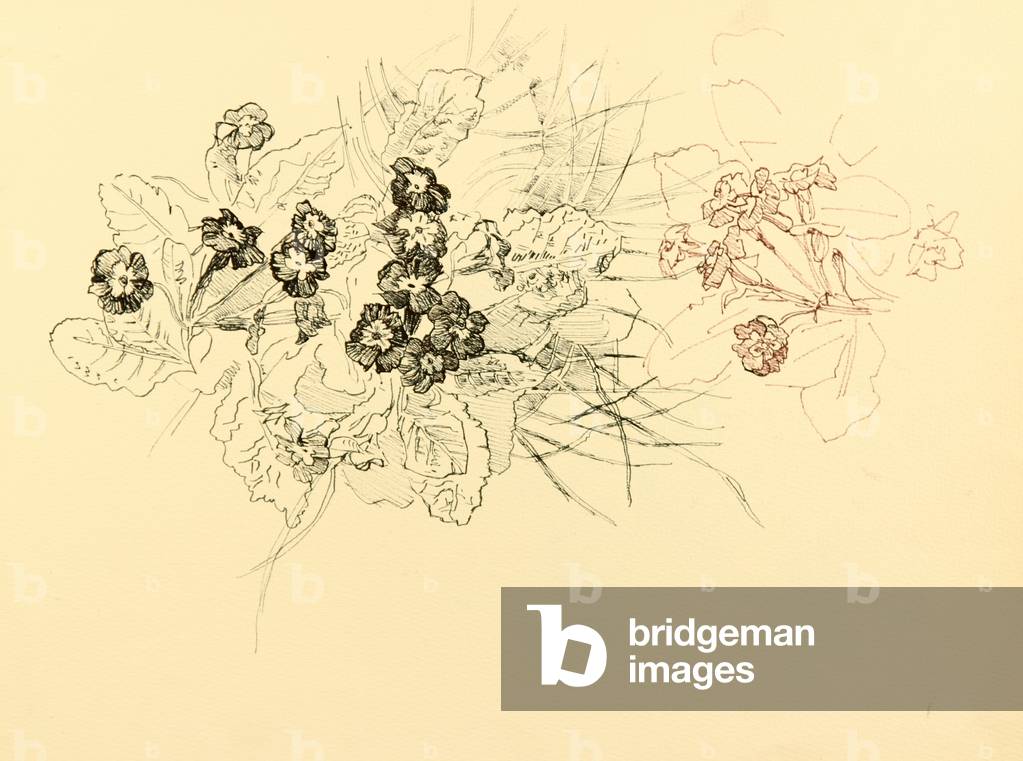 Image of Drawing depicting Flowers 1967 by Nina Shirokova