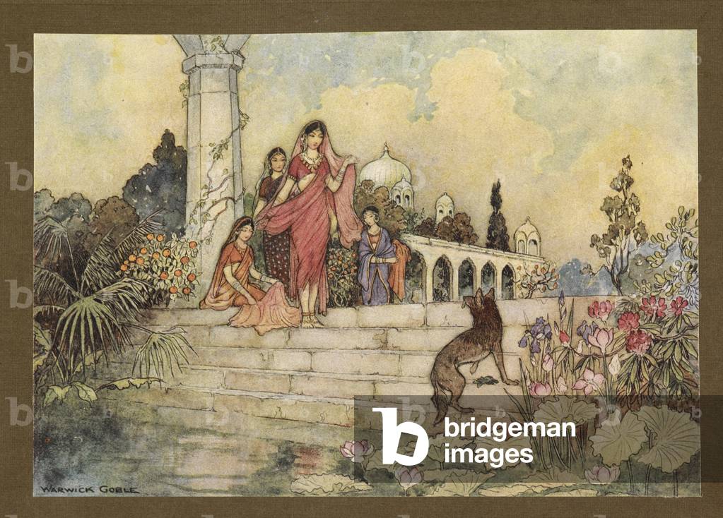 Piatto 23: “Lo sciacallo... ha optato il suo fascio di foglie di betel, ha messo un po' in bocca, e ha iniziat