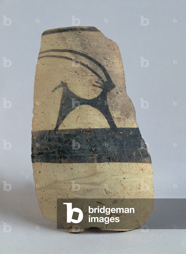 Ostracon with ibex …