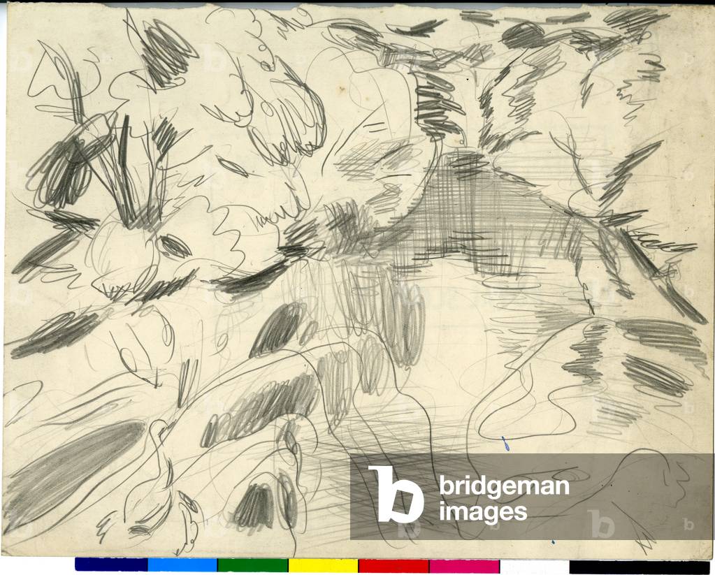 Forme naturali accanto all'acqua -Sketch (matita su carta)