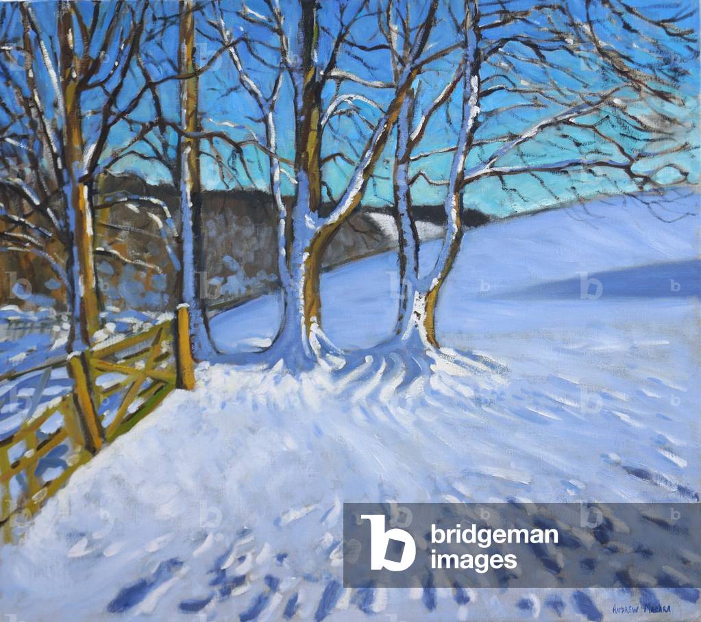 Cancello e alberi, inverno, Dam Lane, Derbyshire, 2013 (olio su tela)