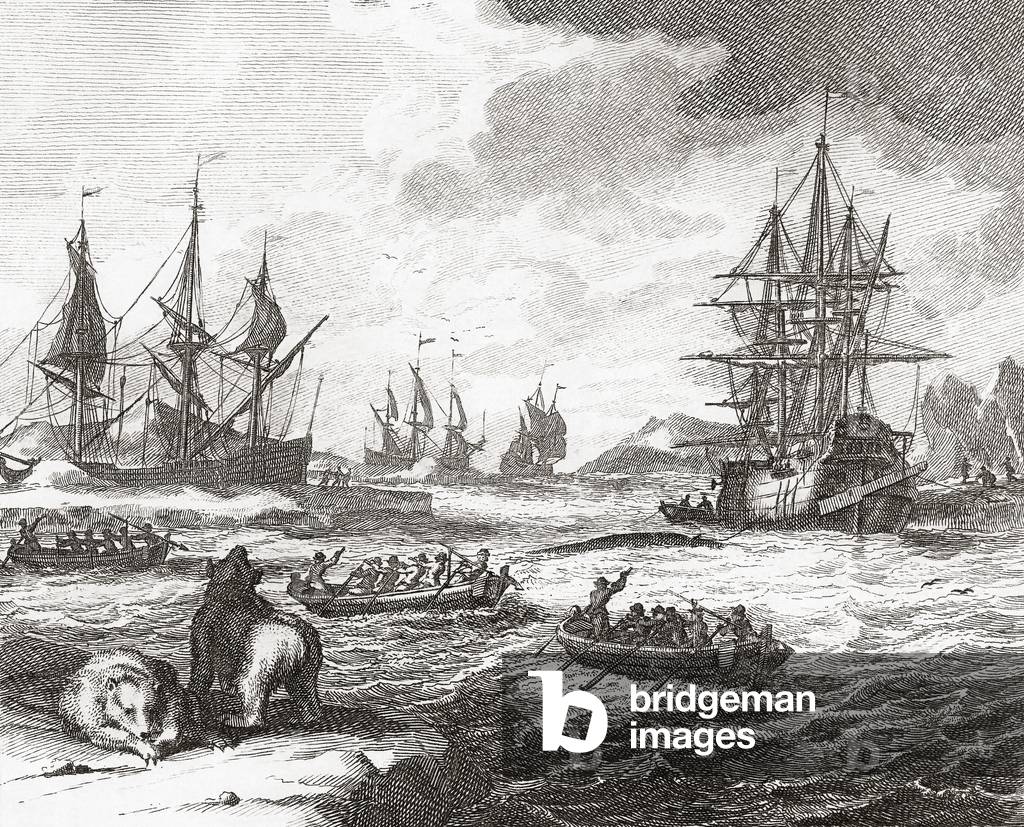 Whale hunting in the Arctic by Unknown Artist