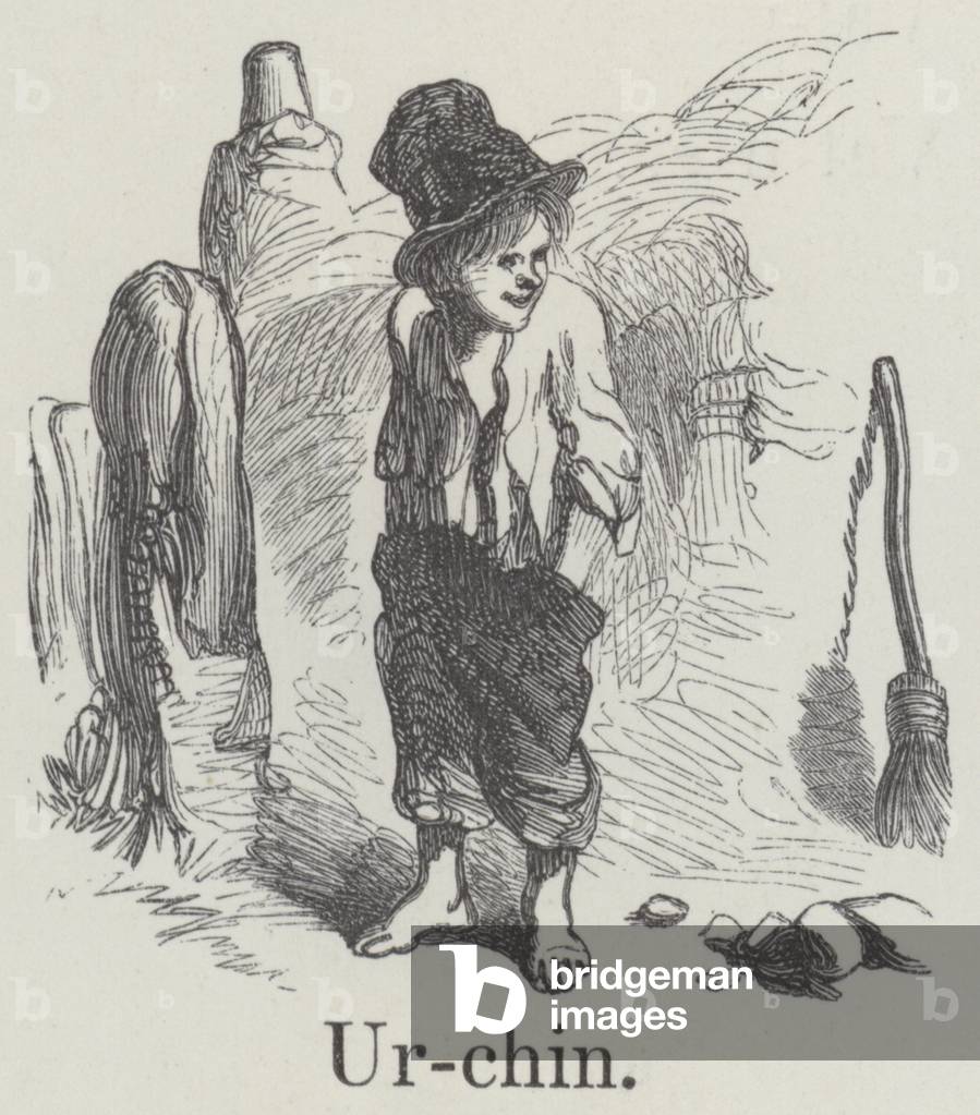 "Riccio (incisione)" di English School