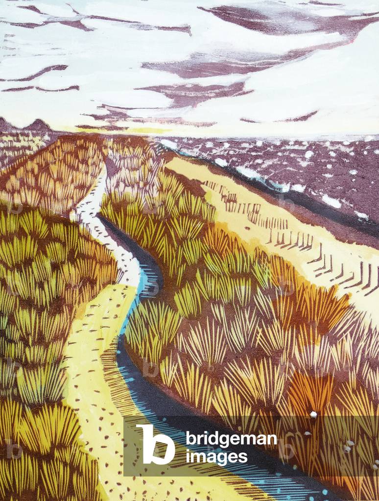 The Edge of Somewhere by Liz Somerville