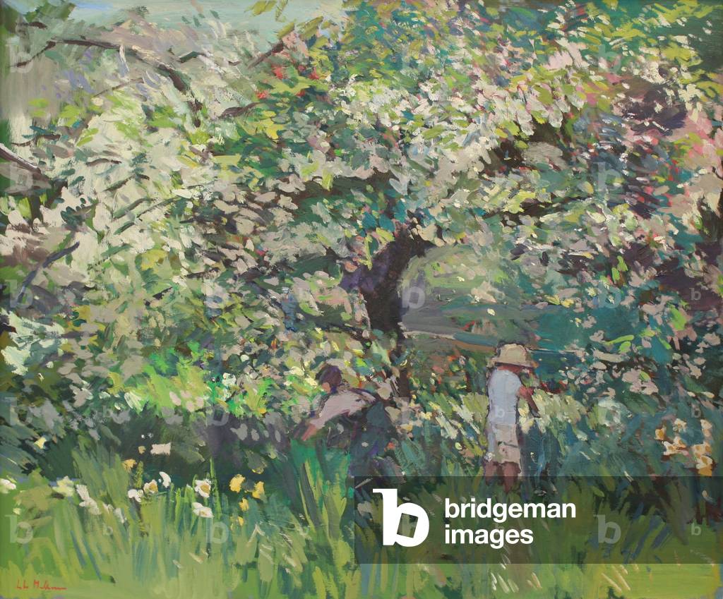 Blossom at Old Bodnod, 2012 (olio su tela)