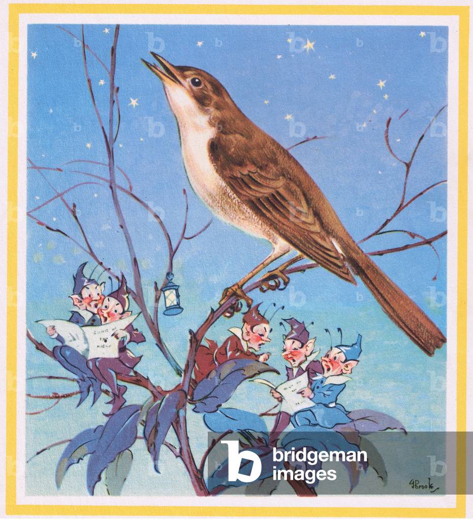 Nightingale (colour litho) by G. Brooks