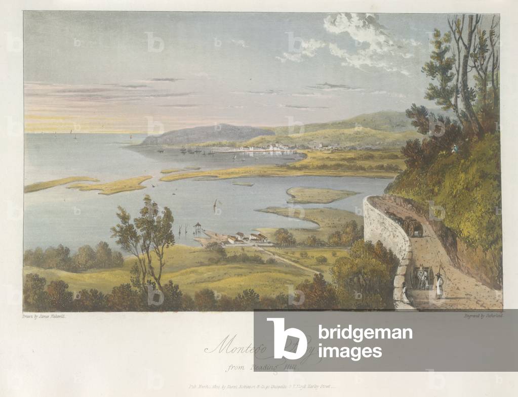Veduta di Montego Bay da Reading Hill, illustrazione da' A picturesque Tour in the Island of Jamaica', Londra,