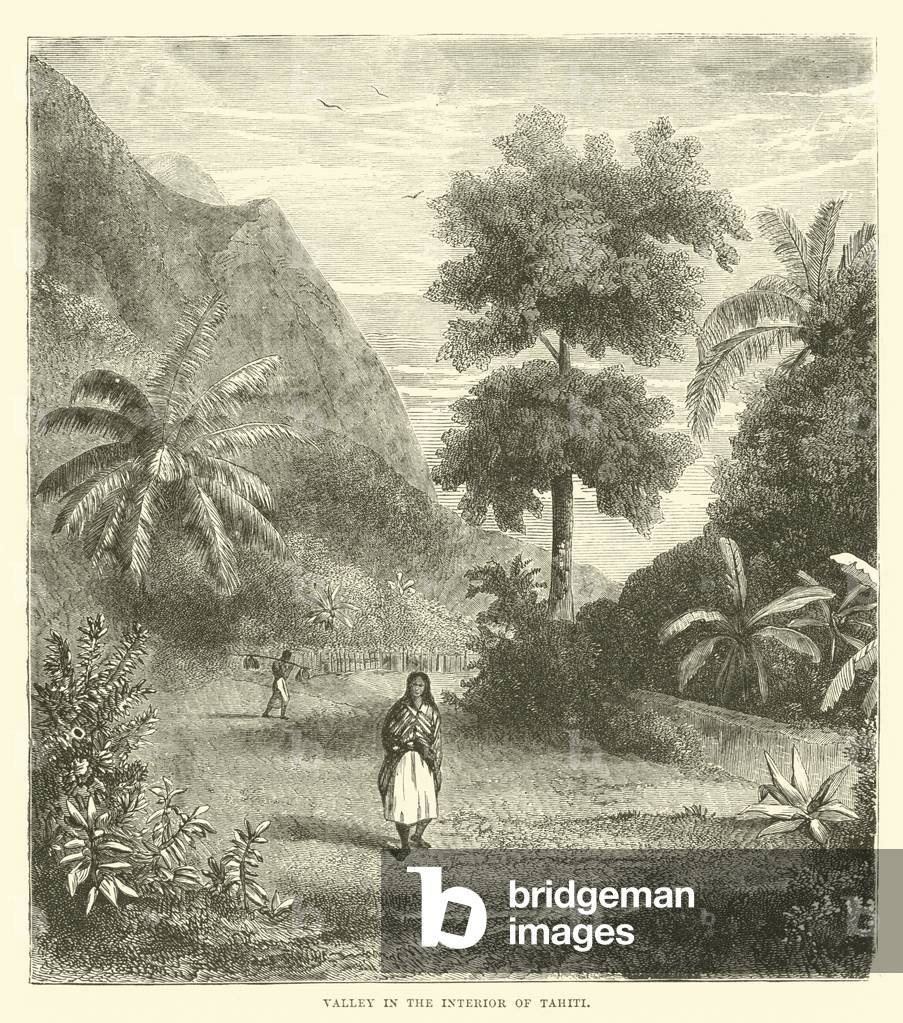 Valley in the interior of Tahiti (engraving) by English Artist, b/w