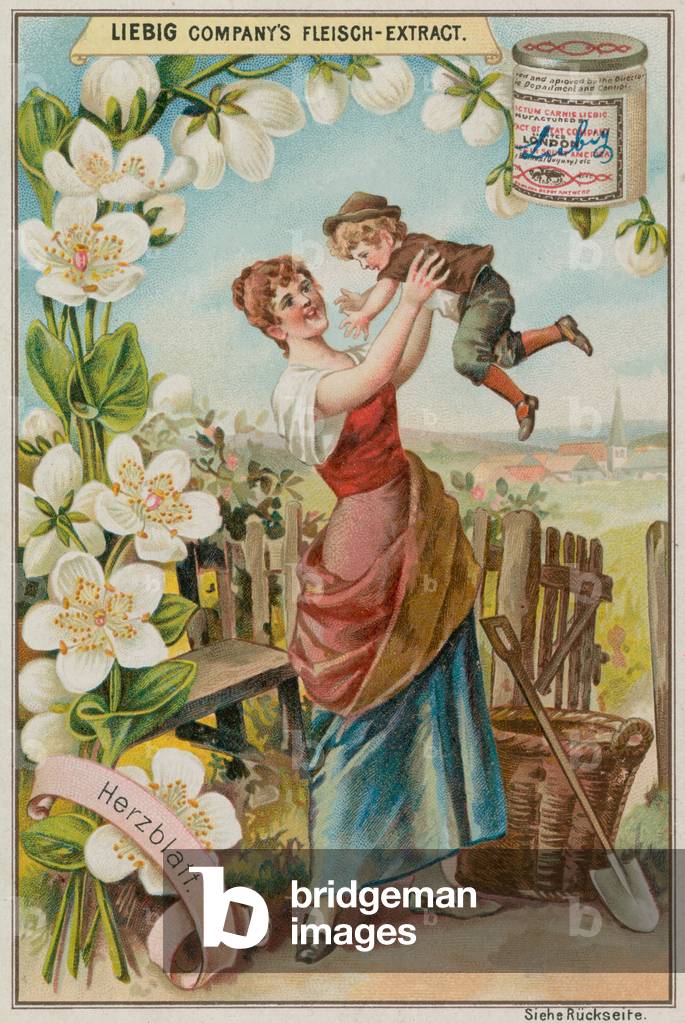 "Parnassus-Gras (Chromolitho)" von European School