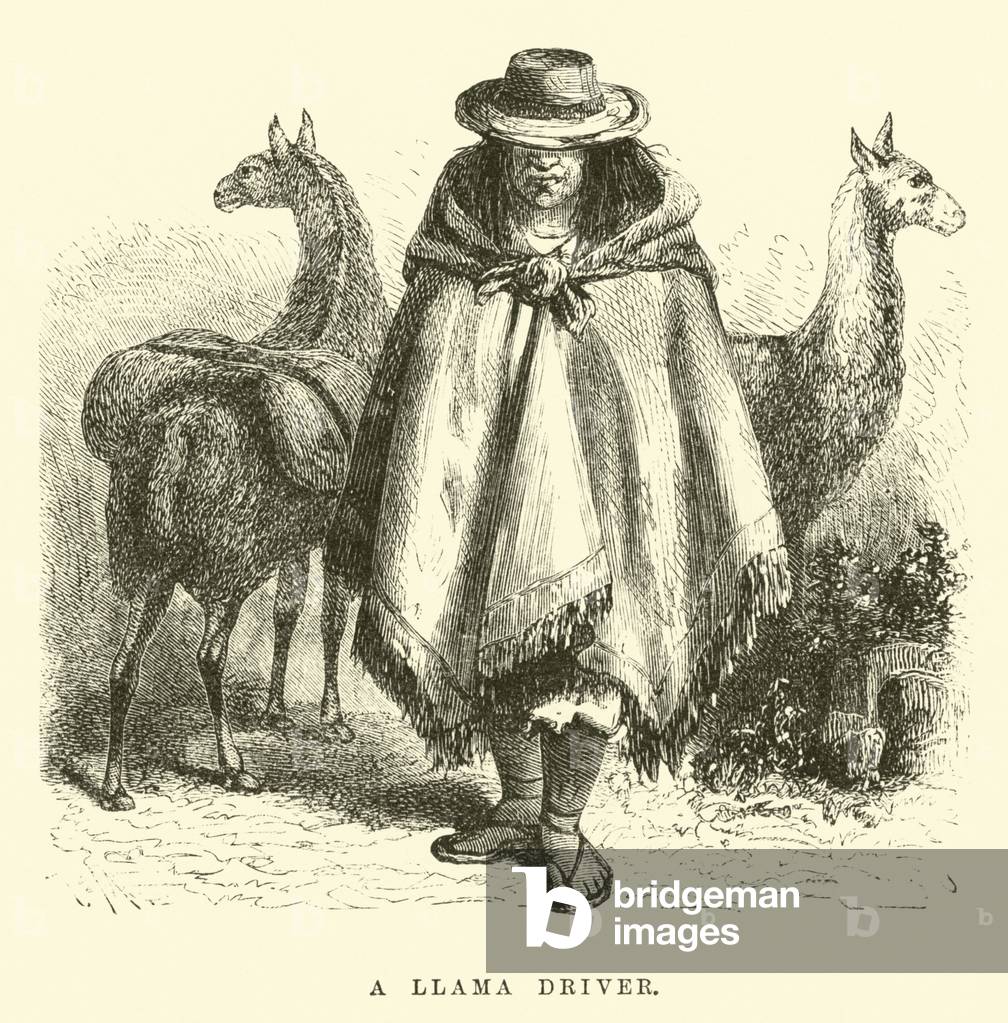 Ein Lama-Fahrer (Gravur)