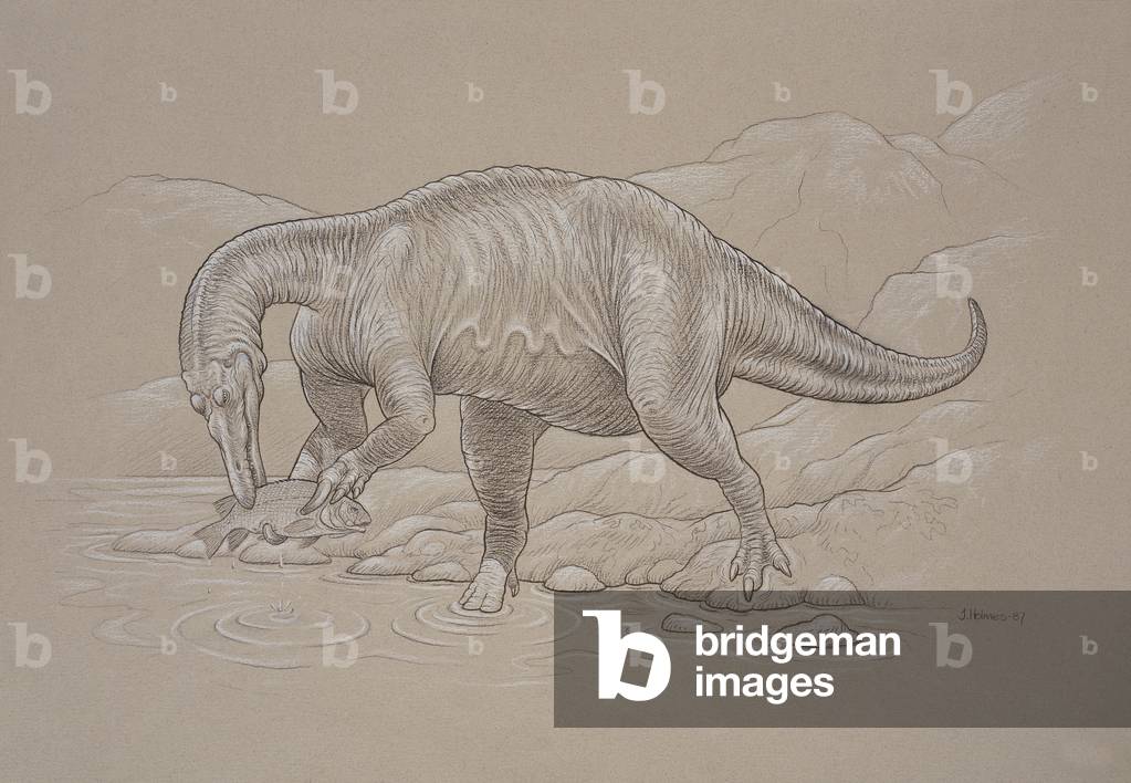 Image of Print depicting Baryonyx walkeri (litho), b/w