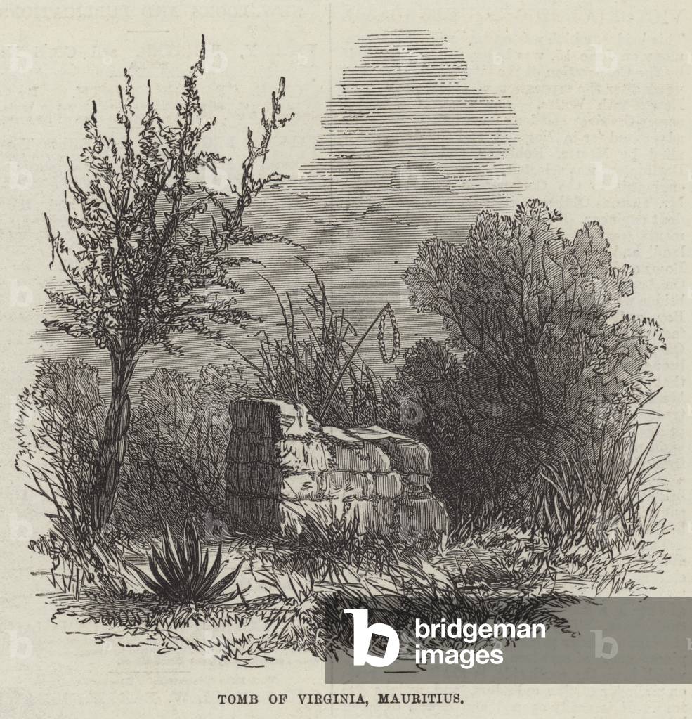 Tomb of Virginia by English Artist, b/w