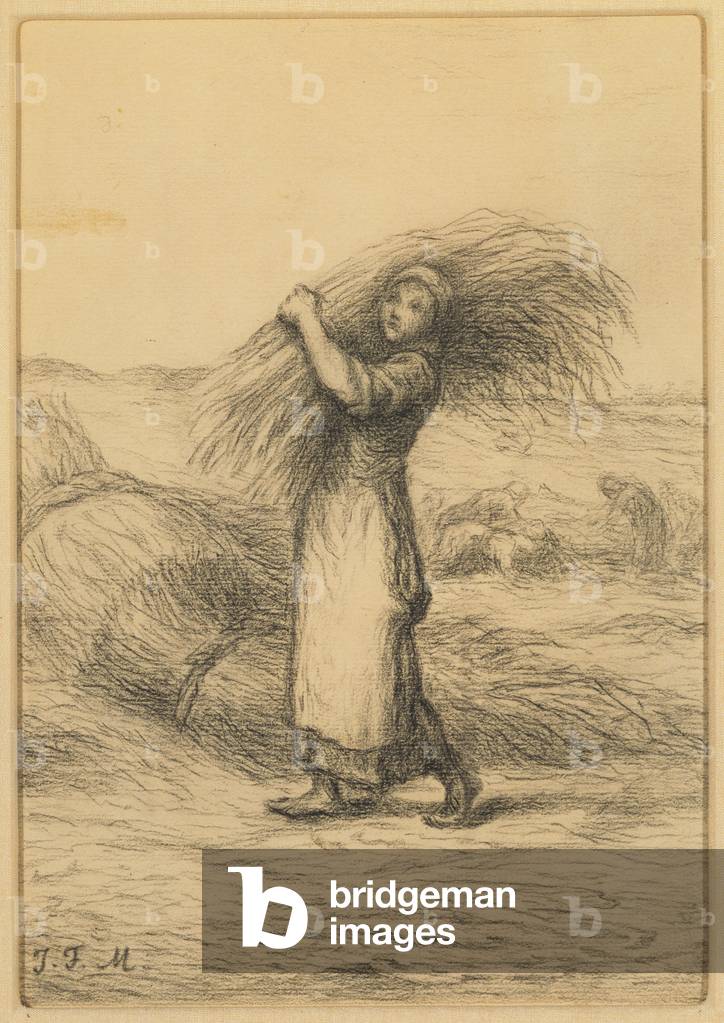 Harvest Scene (carboncino su carta)