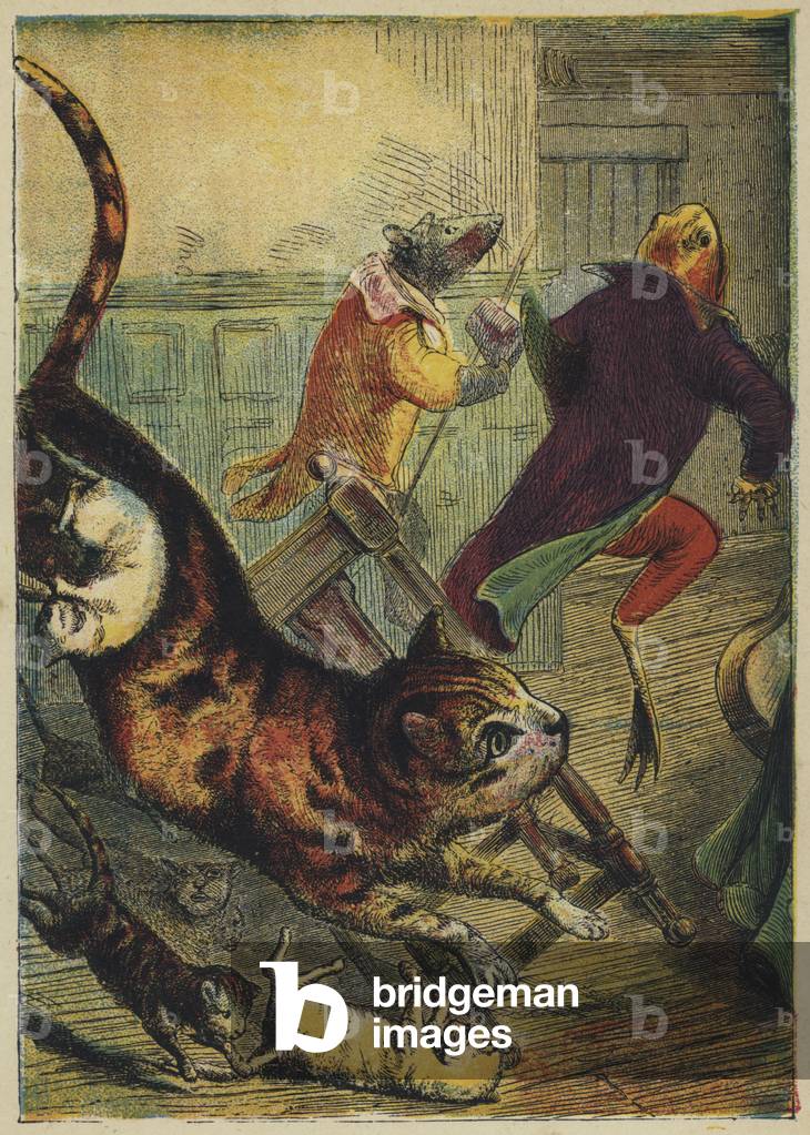 Froggy Spaventato (colore lito)