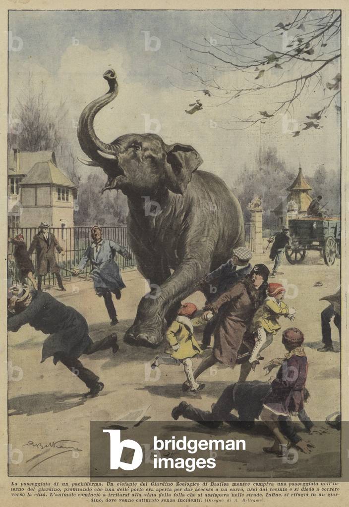 Der Weg eines Dickhäters (Colour Litho)