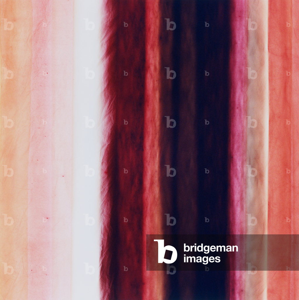 Stripe X, 2005 (stampa c-type)