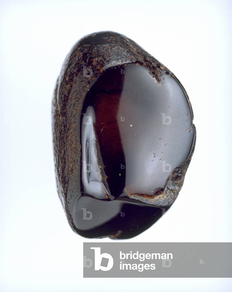 Sicilian amber