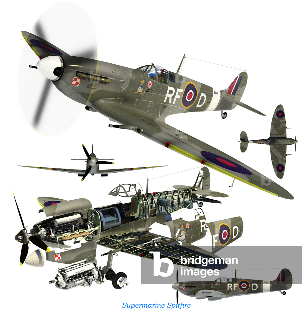 Spitfire (Illustration)