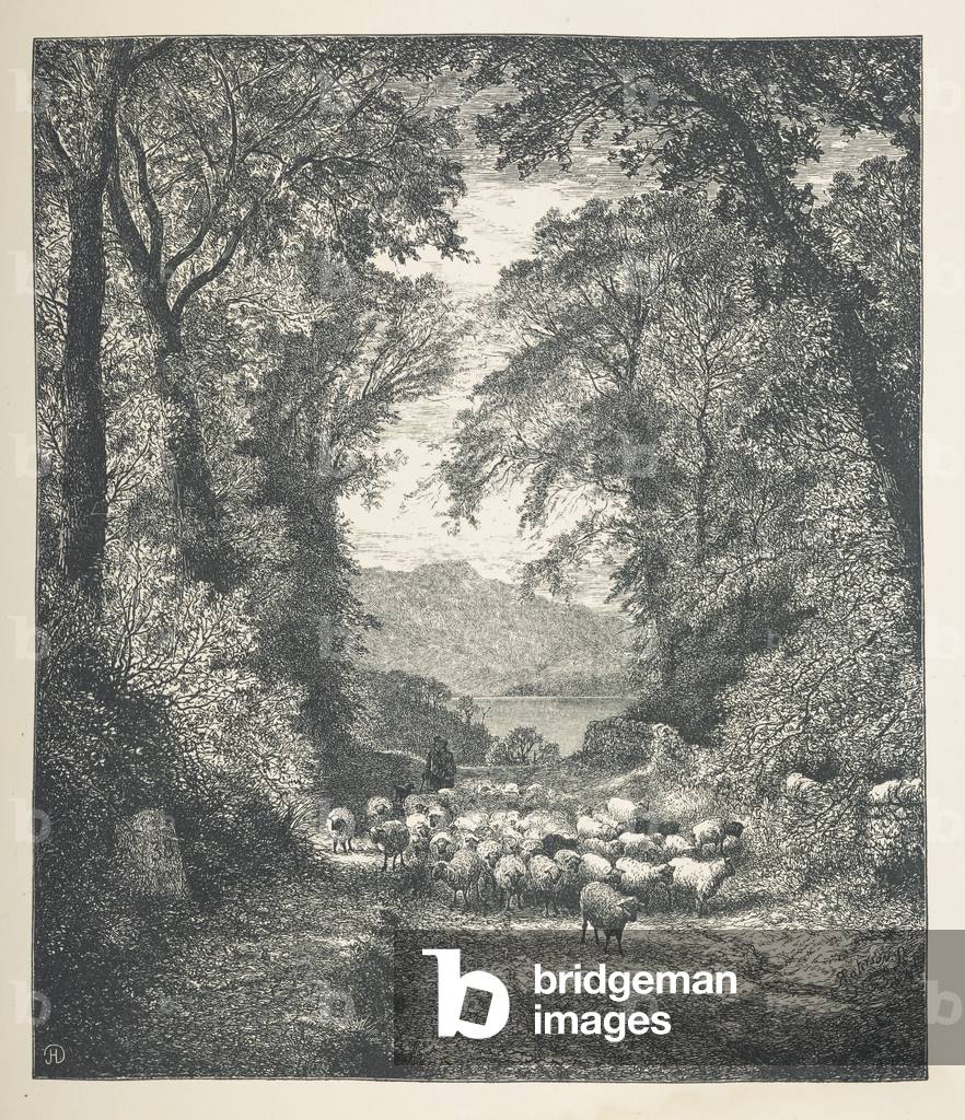 Plate 4. Sheep being driven by a shepherd, along a path.Nature Pictures. A series of thirty original illustr