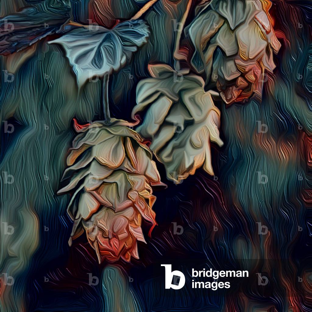 Hops by Scott J. Davis