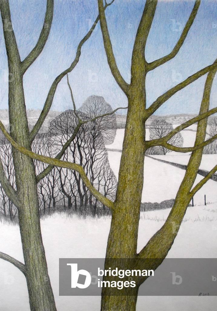 "Winters Day", 2013 di Ann Brain