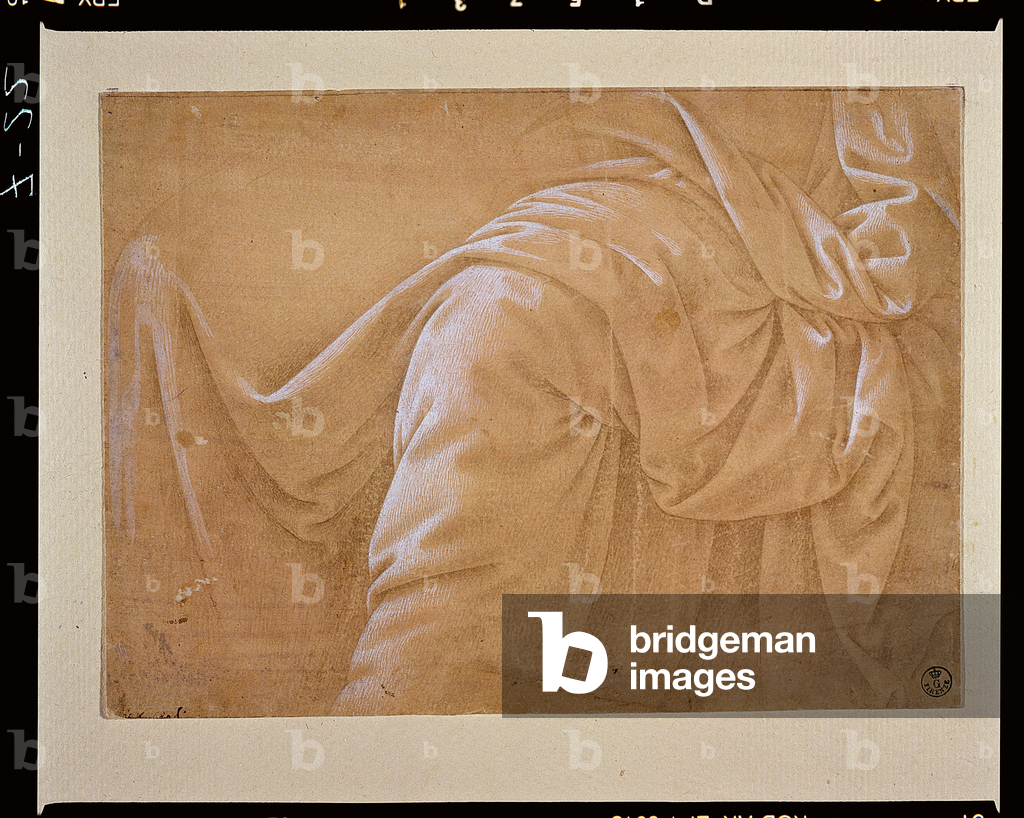 Drapery study (drawing)