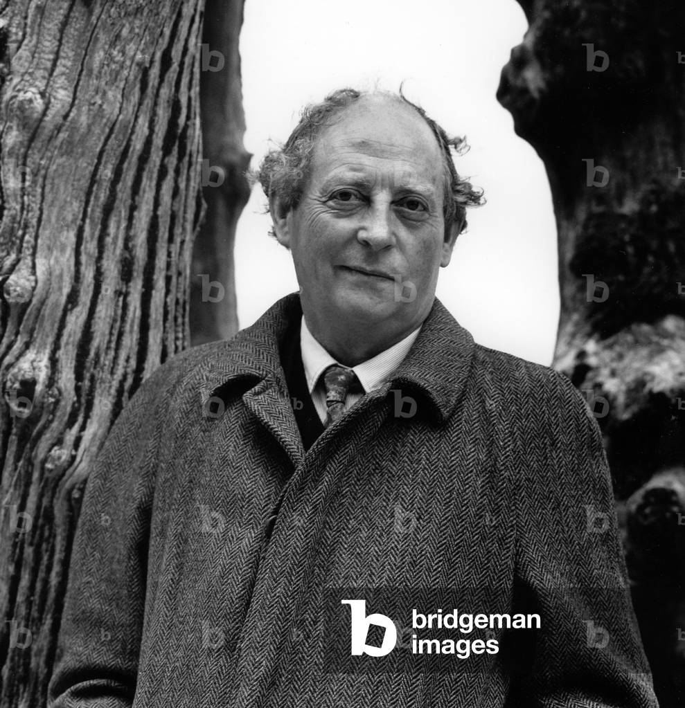 Image of Photography depicting John Mac Gahern by Louis Monier, b/w