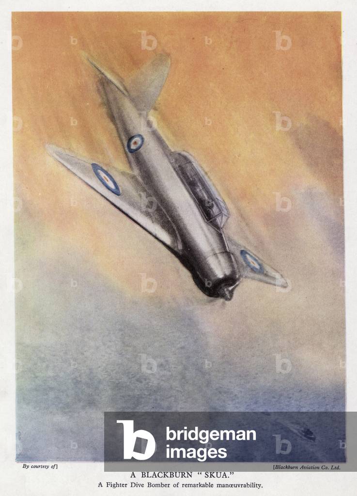 Britischer Blackburn Skua Tauchbomber über dem Meer (Farbe litho)
