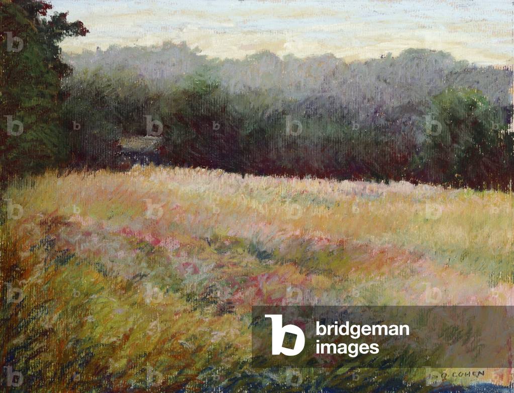 Gray Day in the Pink Field 1998 Linda O. Cohen (20.