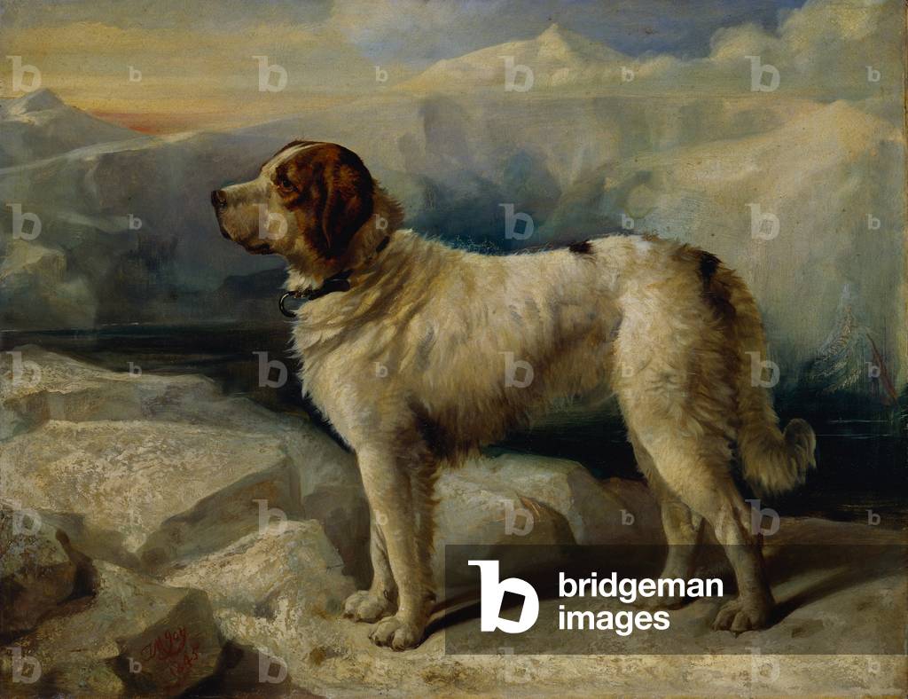 Immagine di Dipinto "Gabbas", 1845 di Thomas Musgrave Joy