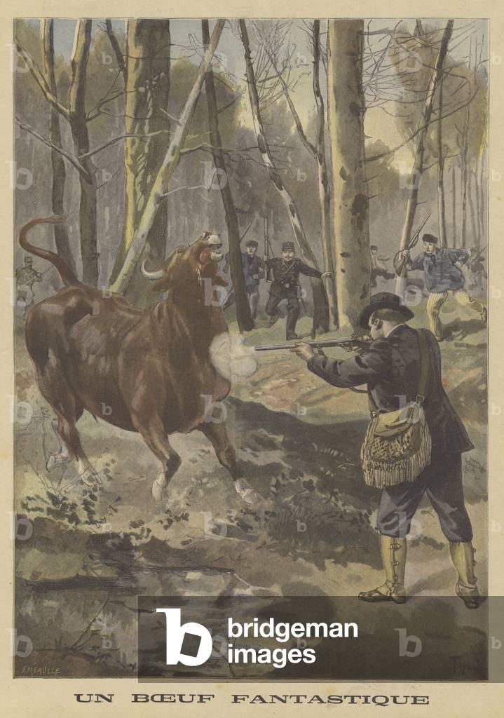 Schießen eines entflohenen Stiers (Farbe Litho)