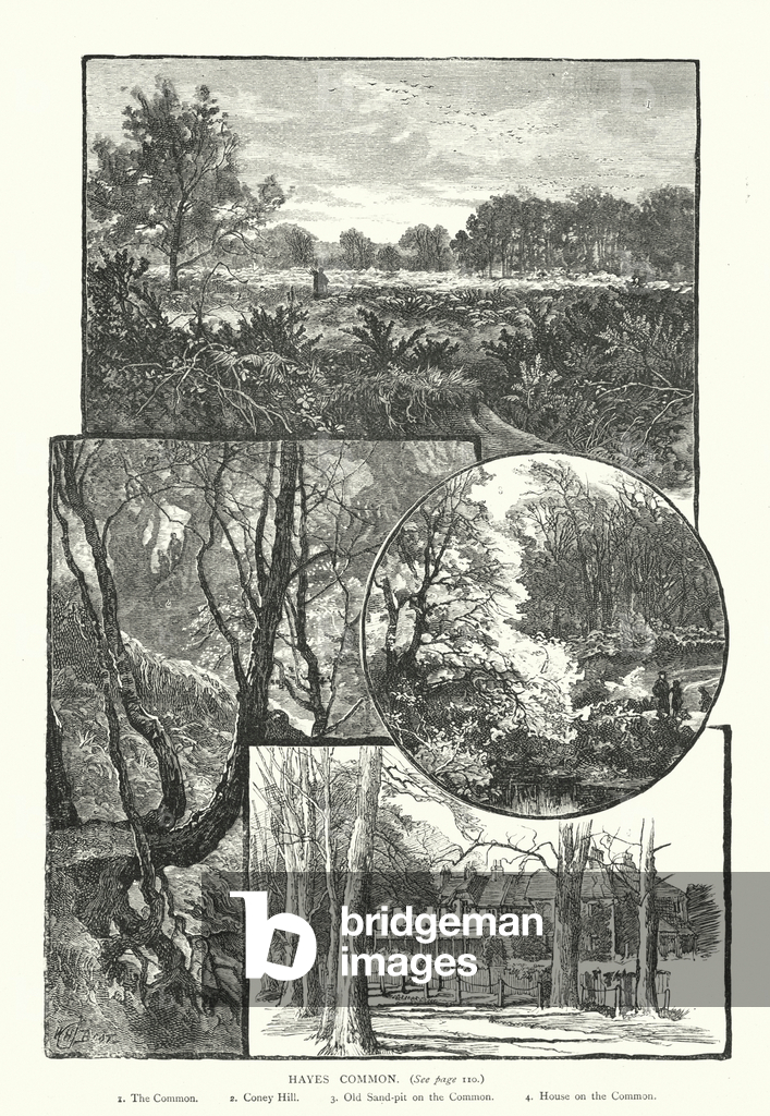 Image of Engraving depicting Hayes Common (engraving) 1801 by English Artist