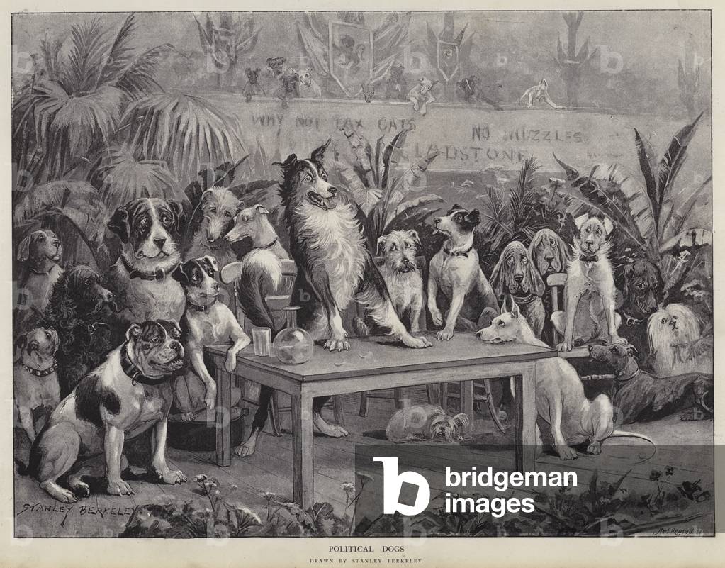 Image de Estampe représentant Chiens politiques (litho) par d.1909) Berkeley