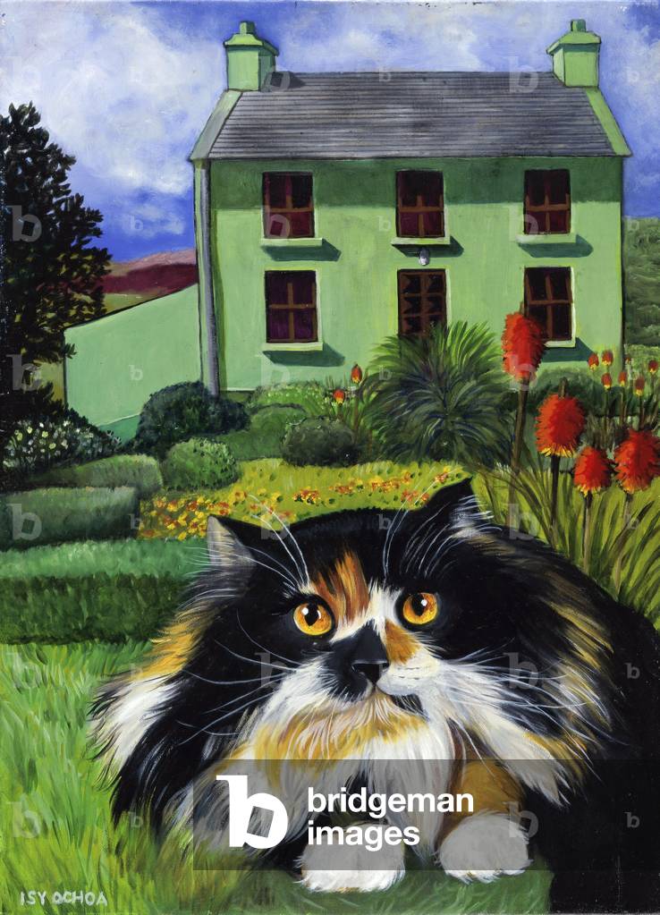 Gatto persiano In Irlanda 2001 (olio su tela)
