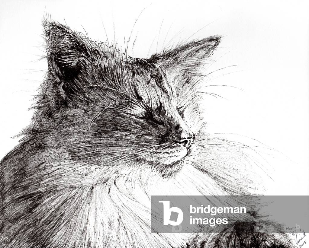 Image of Drawing depicting Monty cosy boy 2015 by Vincent Alexander Booth, b/w