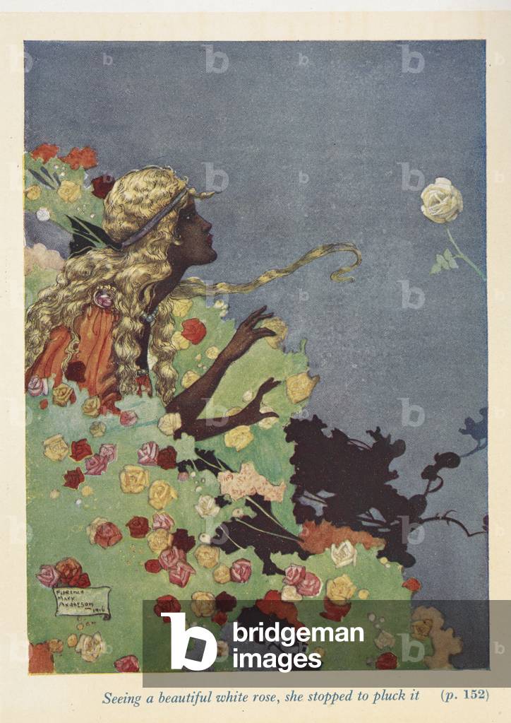 Als sie eine schöne weiße Rose sah, hielt sie an, um sie zu zupfen. Die Schwarze Prinzessin.