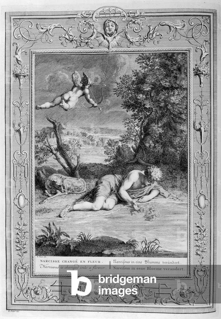 In Greek mythology, Narcissus transforms into a flower, 1615 (engraving), 1615 (engraving)