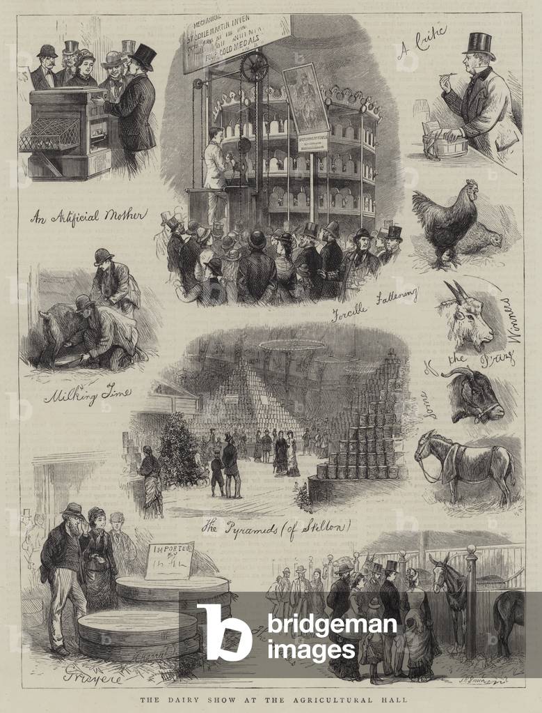 "Die Milchausstellung in der Landwirtschaftshalle (Gravur)" von English School