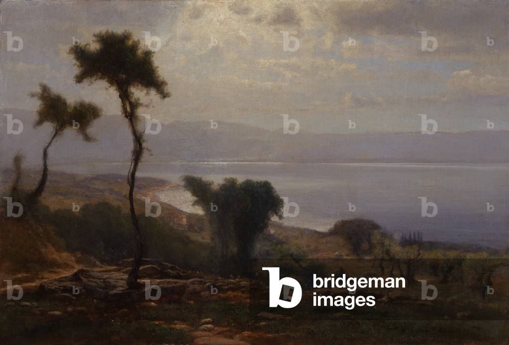 Immagine di Dipinto "Paesaggio" 1871 di George Snr. Inness