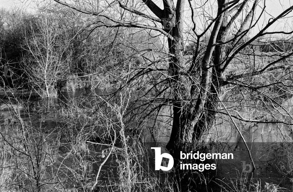 

Die Geldschiffe am Seine-Ufer 5, Frankreich, 2000 (Bild in Schwarz-Weiß)